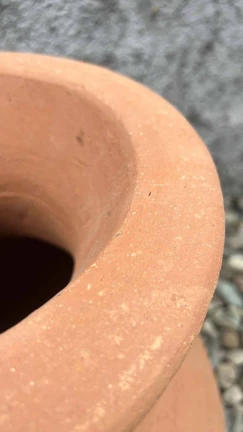 Jarrón Persa - Image 3