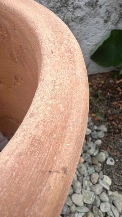 Jarrón Cigarros - Image 2