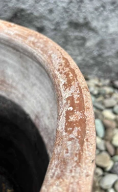 Maceta Cazo - Image 2