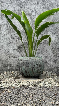 Maceta Green Atlantis