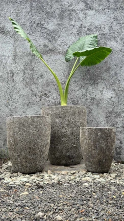 Maceta Coral Gris - Image 2