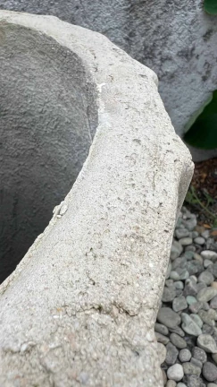 Maceta Reina - Image 2