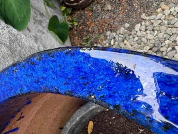 Maceta Blue Color - Image 3