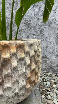 Maceta Alcatraz - Image 2