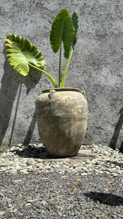 Maceta Antique Glazed