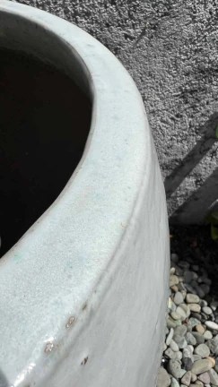 Maceta White - Image 3