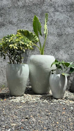 Maceta White - Image 2