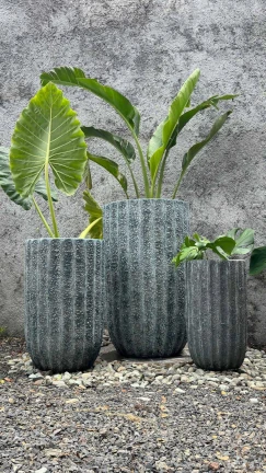 Maceta Blue Coral - Image 2