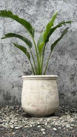 Maceta Aguacate Gris