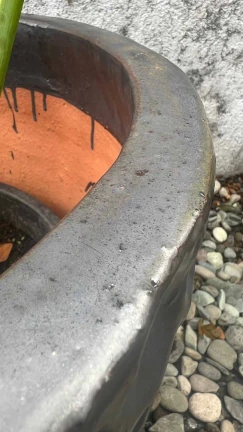 Maceta Matt Black - Image 3