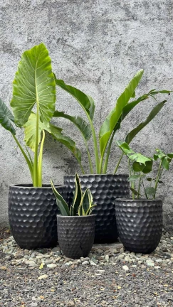 Maceta Matt Black - Image 2