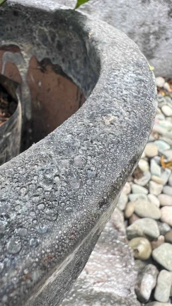 Maceta Black Atlantis - Image 3