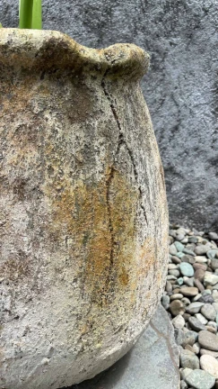 Maceta Aguacate Rustico - Image 3