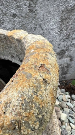 Maceta Aguacate Rustico - Image 2