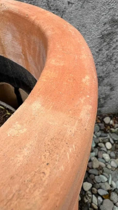 Maceta Cleopatra - Image 2