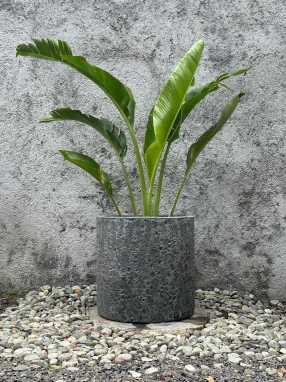 Maceta Cilindro Coral