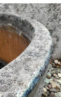 Maceta Cilindro Coral - Image 3