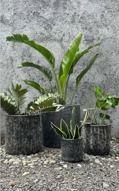 Maceta Cilindro Coral - Image 2