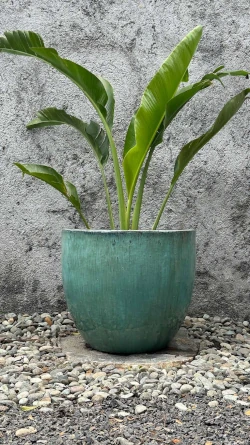 Maceta Falling Green