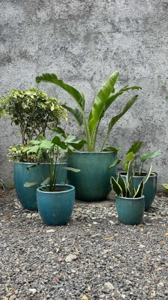 Maceta Falling Green - Image 3