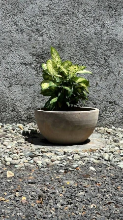 Maceta Antik Terracota