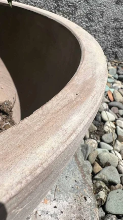 Maceta Antik Terracota - Image 3