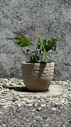 Maceta Antik Terracota Relieve