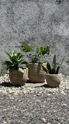 Maceta Antik Terracota Relieve - Image 2