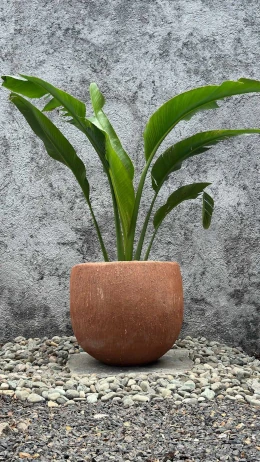 Maceta Chata Rustico