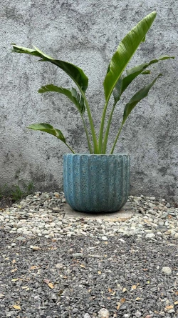 Maceta Celeste Coral