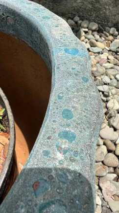 Maceta Celeste Coral - Image 3