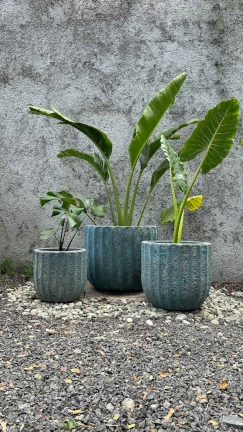 Maceta Celeste Coral - Image 2