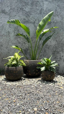 Maceta Rustic Atlantis - Image 2