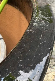 Maceta Shinny Black - Image 3