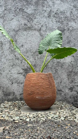 Maceta Chata Reina Rustico