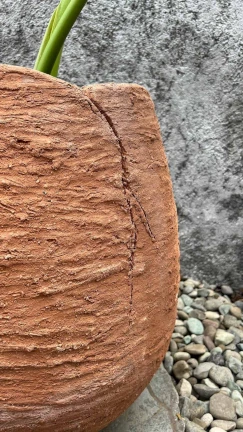 Maceta Chata Reina Rustico - Image 3