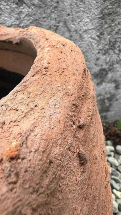 Maceta Chata Reina Rustico - Image 2