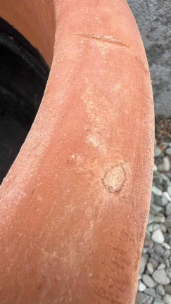 Maceta Trompo - Image 2