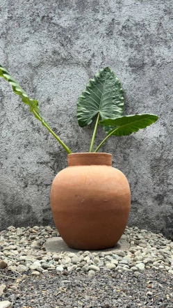 Jarrón Romano Ancho