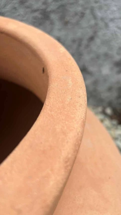 Jarrón Romano Ancho - Image 3