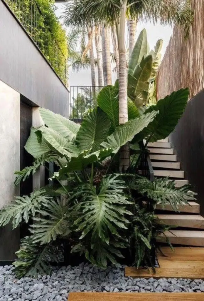 Jardín tropical residencial